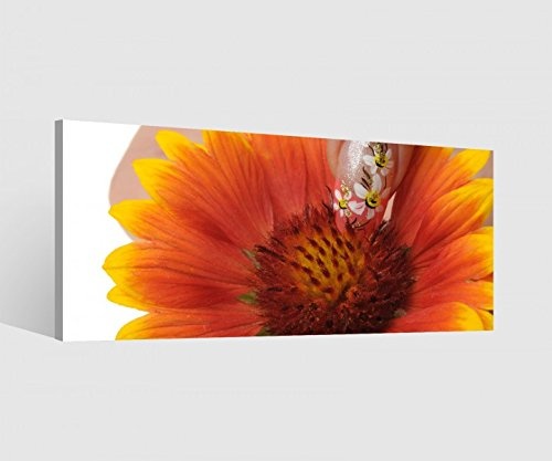 Leinwand 1Tlg Blume gelb Nail Art Nagel Nagelstudio Biene Leinwandbilder Bild Bilder Holz fertig gerahmt 9S336, 1 Tlg BxH:60x30cm