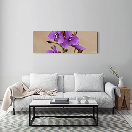 Paul Sinus Art Leinwandbilder | Bilder Leinwand 120x40cm Australische Wildblume mit Biene – Nahaufnahme