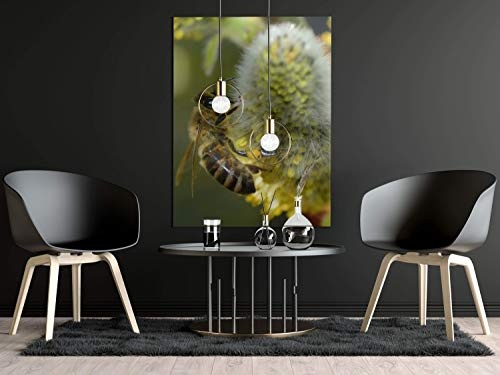 Poster Biene Honig Makro Blüte Wandbild - Premium (45x30 cm, versch. Größen) - 190g Premium-Papierdruck - ? Garantierte Top-Qualität
