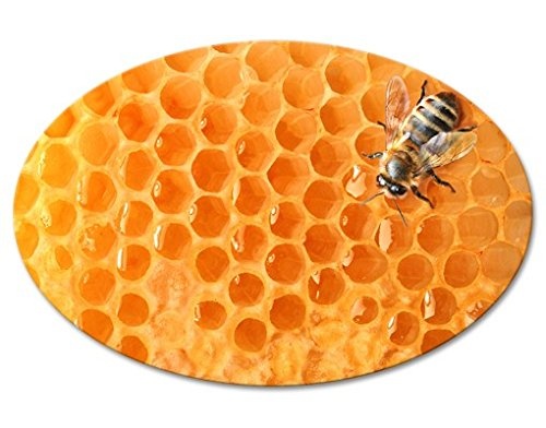 Apalis Canvas Art Oval Honey Biene Leinwandbilder, Leinwandbild, Leinwandbild, Leinwandbild, Leinwanddruck, Wandkunst