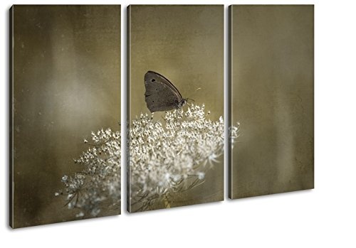 deyoli Kleiner süßer Schmetterling Format: 3-teilig 120x80 als Leinwandbild, Motiv fertig gerahmt auf Echtholzrahmen, Hochwertiger Digitaldruck mit Rahmen, Kein Poster oder Plakat