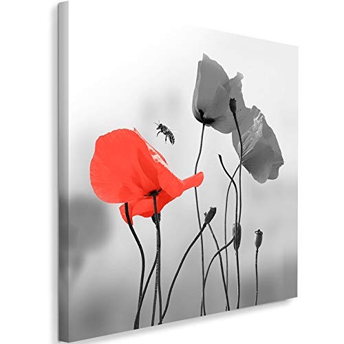 Feeby Wandbild Natur Kunstdruck Art Leinwandbild Mohnblumen Biene Pflanzen rot 80x80 cm