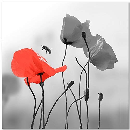 Feeby Wandbild Natur Kunstdruck Art Leinwandbild Mohnblumen Biene Pflanzen rot 80x80 cm