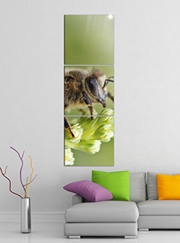 Leinwandbild 3tlg Biene grüner Stängel Insekt Bilder Druck auf Leinwand Vertikal Bild Kunstdruck mehrteilig Holz 9YA3832, Vertikal Größe:Gesamt 30x90cm