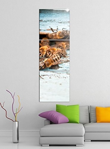 Leinwandbild 3tlg Bienen Bienenstock Biene Honig Tier Bilder Druck auf Leinwand Vertikal Bild Kunstdruck mehrteilig Holz 9YA3833, Vertikal Größe:Gesamt 40x120cm