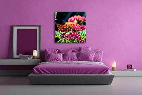 deyoli schöner Falter auf violetter Blume im Format: 70x70 Effekt: Zeichnung als Leinwandbild, Motiv auf Echtholzrahmen, Hochwertiger Digitaldruck mit Rahmen, Kein Poster oder Plakat