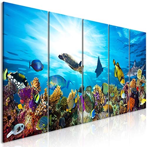 decomonkey Bilder Aquarium 200x80 cm 5 Teilig Leinwandbilder Bild auf Leinwand Vlies Wandbild Kunstdruck Wanddeko Wand Wohnzimmer Wanddekoration Deko Ozean Korallenriff Fisch blau bunt