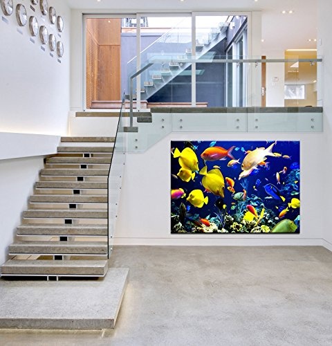 Julia-art Leinwandbilder - Fische, Ozean Meer Bild 1 teilig - 60 mal 40 cm Leinwand auf Rahmen - sofort aufhängbar ! Wandbild XXL - Kunstdrucke QN.17-2