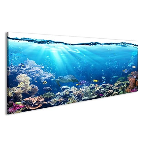 islandburner Bild Bilder auf Leinwand Unterwasser-Szene mit Riff und tropischen Fischen Wandbild Leinwandbild Poster DYK