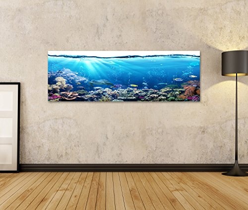 islandburner Bild Bilder auf Leinwand Unterwasser-Szene mit Riff und tropischen Fischen Wandbild Leinwandbild Poster DYK