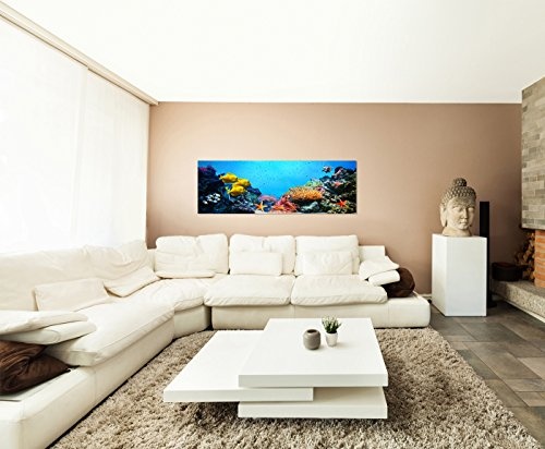 Paul Sinus Art Panoramabild auf Leinwand und Keilrahmen 150x50cm Korallenriff Unterwasser Fische Seesterne