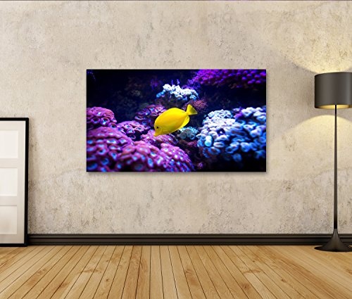 islandburner Bild auf Leinwand Schöne gelbe Tang (Zebrasoma flavescens) Fisch auf lila und rosa Riff Hintergrund Salzwasser Aquarium Fisch. Wandbild, Poster, Leinwandbild GJJ