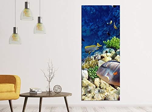 Leinwandbilder 1Tlg 40x100cm Fisch Unterwasserwelt Korallen Meer Leinwandbild Kunstdruck Wand Bilder Vlies Wandbild Leinwand Bild Druck 9ZA290, Leinwandbild Gr. 1:40cmx100cm