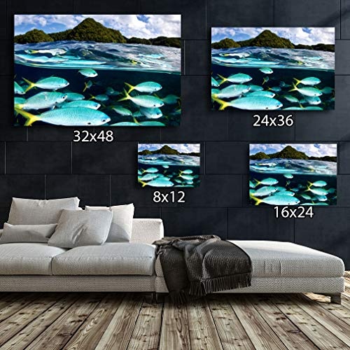 LoveSticker F424 Leinwandbild, Motiv Fisch, Unterwasser-Inseln, gerahmt, 3D Kunst, 24x36inch (60x90cm)