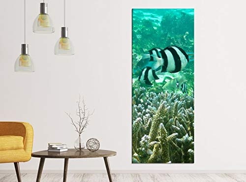 Leinwandbilder 1Tlg 40x100cm Fische Wasser Korallen Unterwasser Leinwandbild Kunstdruck Wand Bilder Vlies Wandbild Leinwand Bild Druck 9ZA299, Leinwandbild Gr. 1:40cmx100cm