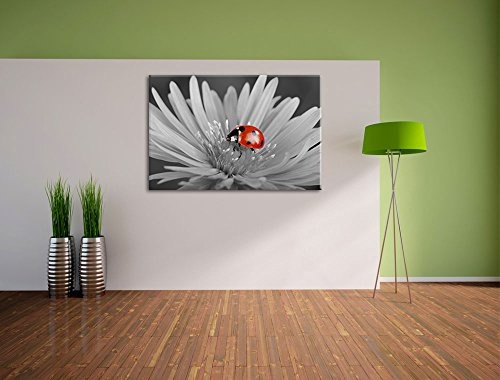 rot leuchtender Marienkäfer auf Blüte schwarz/weiß Format: 80x60 auf Leinwand, XXL riesige Bilder fertig gerahmt mit Keilrahmen, Kunstdruck auf Wandbild mit Rahmen, günstiger als Gemälde oder Ölbild, kein Poster oder Plakat