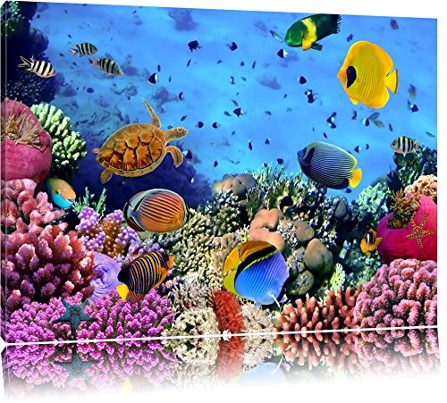 Bunte Fische über Korallenriff Format: 120x80 auf Leinwand, XXL riesige Bilder fertig gerahmt mit Keilrahmen, Kunstdruck auf Wandbild mit Rahmen, günstiger als Gemälde oder Ölbild, kein Poster oder Plakat