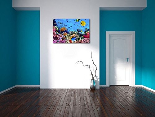 Bunte Fische über Korallenriff Format: 120x80 auf Leinwand, XXL riesige Bilder fertig gerahmt mit Keilrahmen, Kunstdruck auf Wandbild mit Rahmen, günstiger als Gemälde oder Ölbild, kein Poster oder Plakat