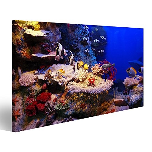 Bild Bilder auf Leinwand Unterwasser - Fische und Korallen Wandbild Leinwandbild Poster