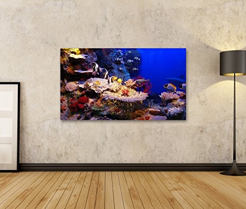 Bild Bilder auf Leinwand Unterwasser - Fische und Korallen Wandbild Leinwandbild Poster