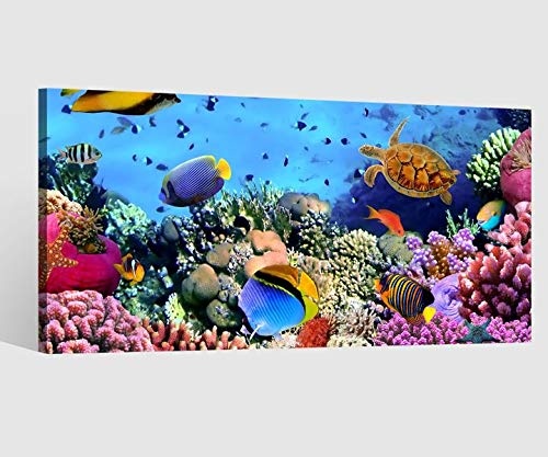 Leinwandbild Fische Korallen Ozean Meer Kat6 Riff...