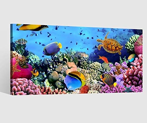 Leinwandbild Fische Korallen Ozean Meer Kat6 Riff Unterwasser Leinwand Bild Bilder Tierwelt Wandbild Holz Leinwandbilder Kunstdruck vom Hersteller 9AB768, Leinwand Größe 1:80x40cm