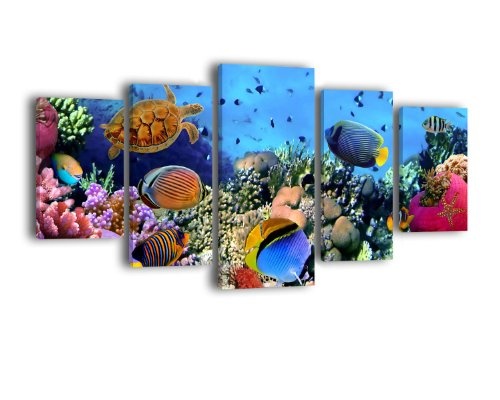 Leinwandbild Korallenriff mit Fischen LW388 Wandbild, Bild auf Leinwand, 5 Teile, 210 x 100 cm, Kunstdruck Canvas, XXL Bilder, Keilrahmenbild, fertig aufgespannt, Bild, Holzrahmen, Unterwasser, Riff, Taucher
