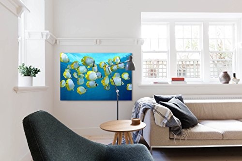 Paul Sinus Art Leinwandbilder | Bilder Leinwand 120x80cm Schwarm von Bunten Tropischen Fischen