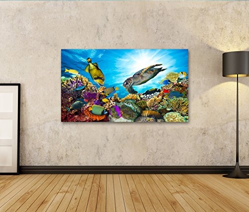 islandburner Bild auf Leinwand Wandbild Leinwandbild Bilder Poster Buntes Korallenriff mit vielen Fischen und Meeresschildkröten Wandbild, Poster, Leinwandbild