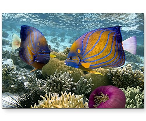 Leinwandbild 120x80cm Korallenriff mit tropischen Fischen - Rotes Meer