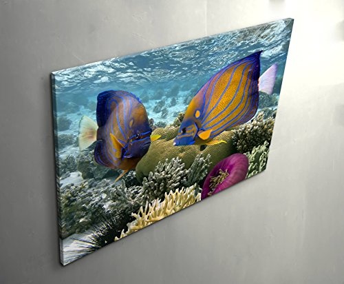 Leinwandbild 120x80cm Korallenriff mit tropischen Fischen - Rotes Meer