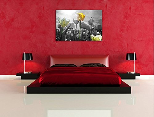 wunderschöne Tulpenwiese schwarz/weiß Format: 100x70 auf Leinwand, XXL riesige Bilder fertig gerahmt mit Keilrahmen, Kunstdruck auf Wandbild mit Rahmen, günstiger als Gemälde oder Ölbild, kein Poster oder Plakat