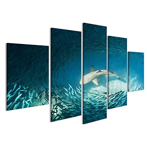 islandburner Bild Bilder auf Leinwand Hai und kleine Fische im Ozean - Natur Hintergrund Wandbild, Poster, Leinwandbild EMM
