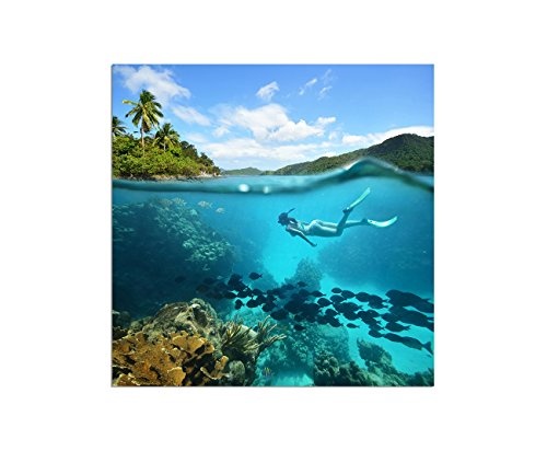 80x80cm - WANDBILD Korallenriff Fische Taucher Meer Natur - Leinwandbild auf Keilrahmen modern stilvoll - Bilder und Dekoration