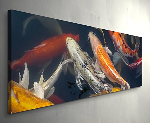 Paul Sinus Art Leinwandbilder | Bilder Leinwand 150x50cm Koi Fische im Teich