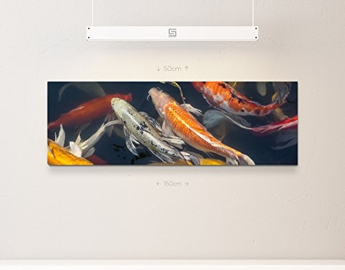 Paul Sinus Art Leinwandbilder | Bilder Leinwand 150x50cm Koi Fische im Teich
