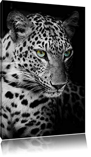 Nahaufnahme Leopardenkopf schwarz/weiß Format:...