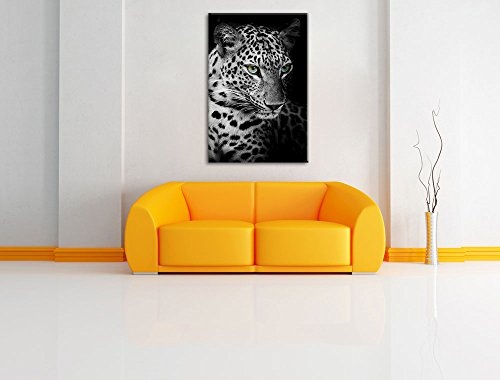 Nahaufnahme Leopardenkopf schwarz/weiß Format:...