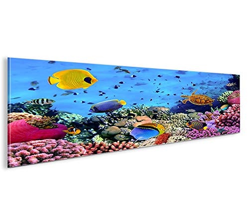 islandburner Bild Bilder auf Leinwand Aquarium Fische Meerwasser Tropische Doktorfische Panorama XXL Poster Leinwandbild Wandbild Dekoartikel Wohnzimmer Marke