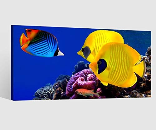 Leinwandbild Fische gelb Wasser Riff Kat6 Ozean Meer Unterwasser Leinwand Bild Bilder Tierwelt Wandbild Holz Leinwandbilder Kunstdruck vom Hersteller 9AB766, Leinwand Größe 1:80x40cm