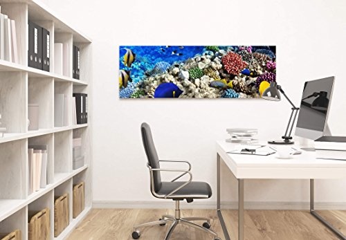 Paul Sinus Art Leinwandbilder | Bilder Leinwand 120x40cm Korallenriff mit Fischen im Roten Meer