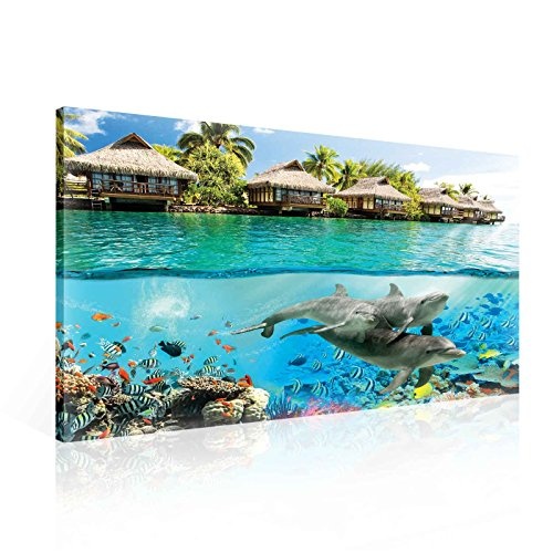 Tapeto Leinwandbild Insel Paradies mit Delfinen - XXL - 100 x 75 cm - Komplettpaket! - fertig gerahmt und inklusive Aufhängung - hochwertige 230g/m² Leinwand auf Keilrahmen - kinderleichte Anbringung