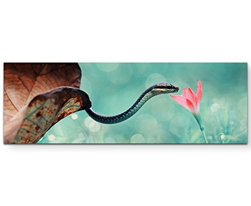 Paul Sinus Art Leinwandbilder | Bilder Leinwand 150x50cm Schlange mit Blume