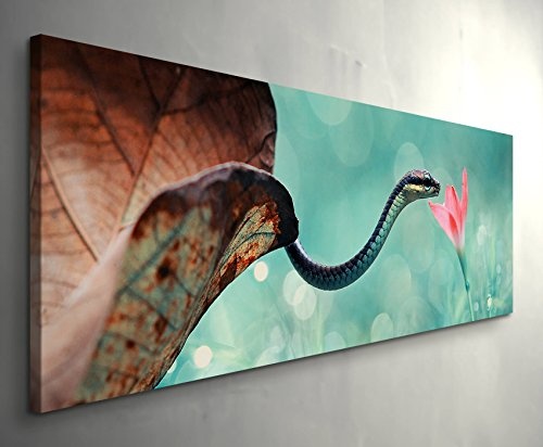 Paul Sinus Art Leinwandbilder | Bilder Leinwand 150x50cm Schlange mit Blume