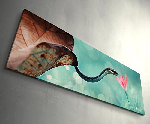 Paul Sinus Art Leinwandbilder | Bilder Leinwand 150x50cm Schlange mit Blume