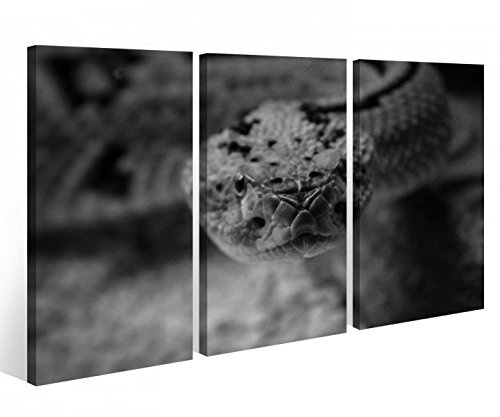 Leinwandbild 3 Tlg. Schlange Snake Reptil Tier Kopf Leinwand Bild Bilder auf Keilrahmen Holz - fertig gerahmt 9O929, 3 tlg BxH:120x80cm (3Stk 40x 80cm)