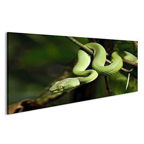 islandburner Bild Bilder auf Leinwand Grüne Schlange im Regenwald, Thailand Wandbild, Poster, Leinwandbild EDH