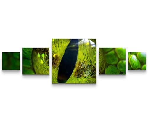 Paul Sinus Art Leinwandbilder | Bilder Leinwand 160x50cm Nahaufnahme Schlangen Auge