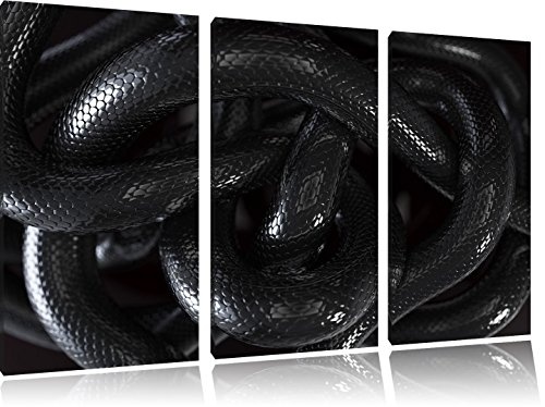 Schlange schwarz 3-Teiler Leinwandbild 120x80 Bild auf...