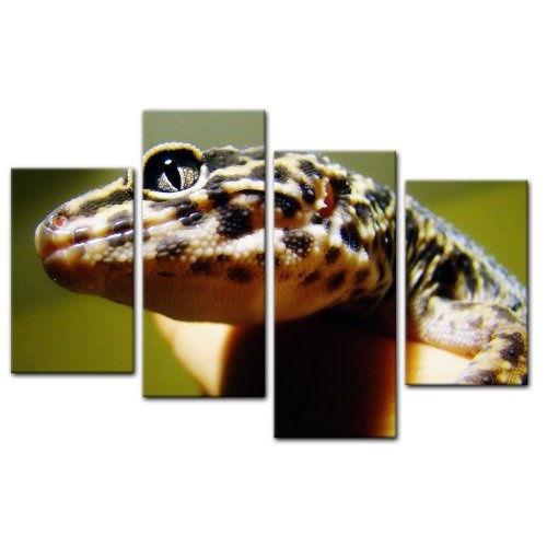 Wandbild - Echse - Bild auf Leinwand - 120x80 cm 4 teilig - Leinwandbilder - Bilder als Leinwanddruck - Tierwelten - Wildtiere - Kleiner Leopardengecko